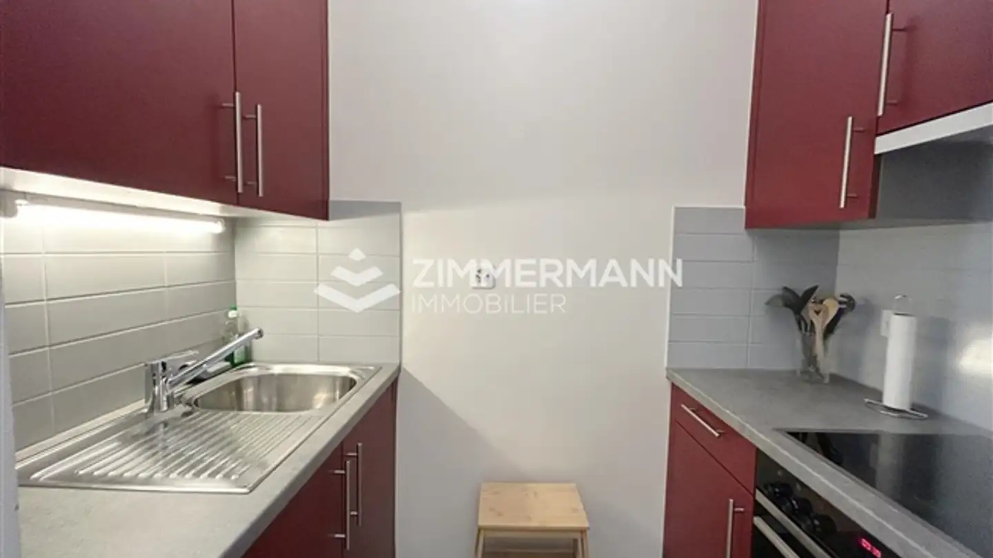 Möblierte Wohnung mieten - Rue De Vermont, 1202 Genève - Foto 4