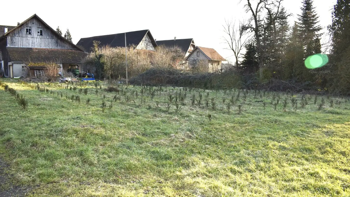 Terreno edificabile in vendita - Kirchweg, 5621 Zufikon - Photo 4