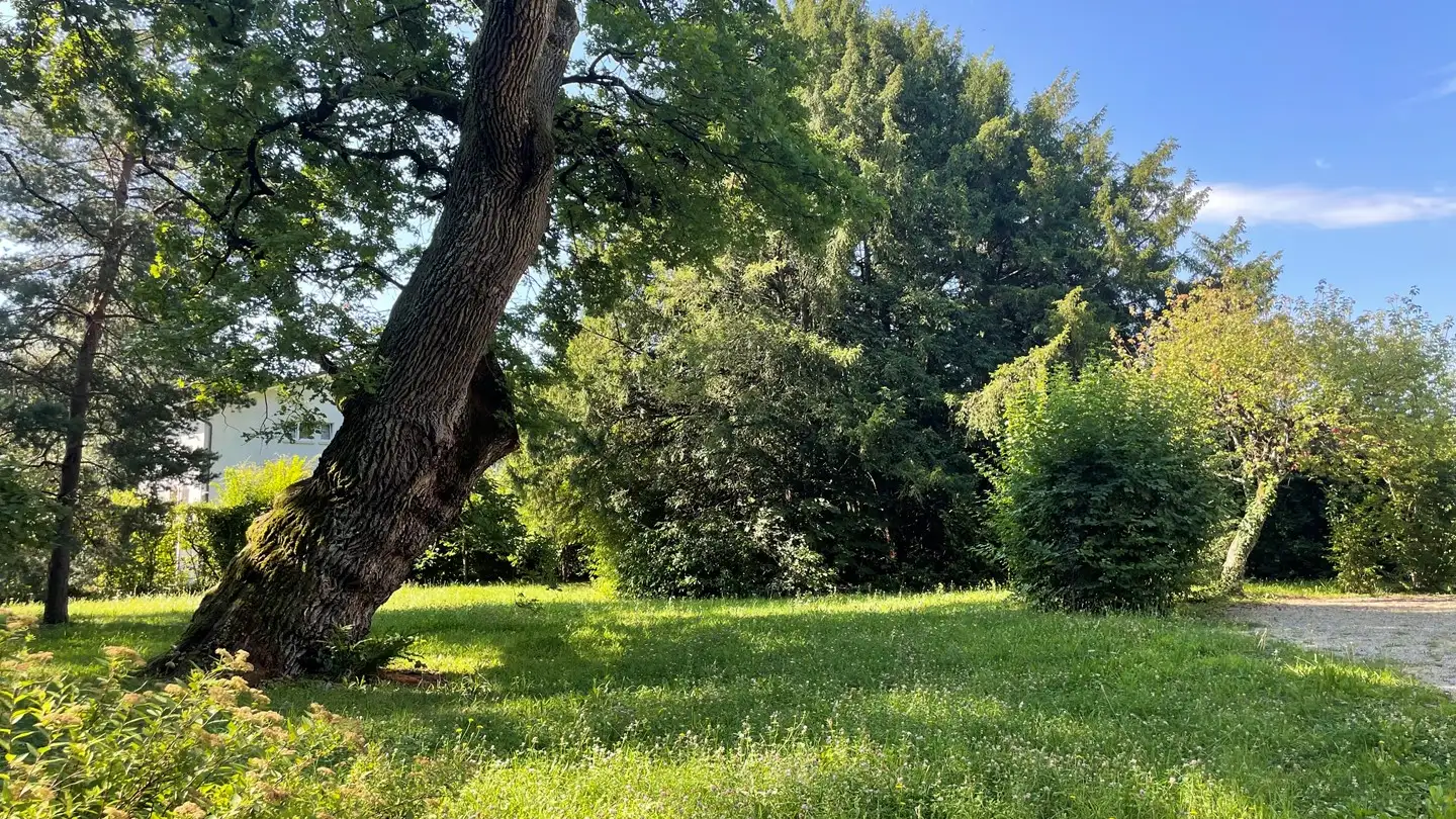 Edificio residenziale in vendita - Rue De Chêne-Bougeries, 1224 Chêne-Bougeries - Photo 2