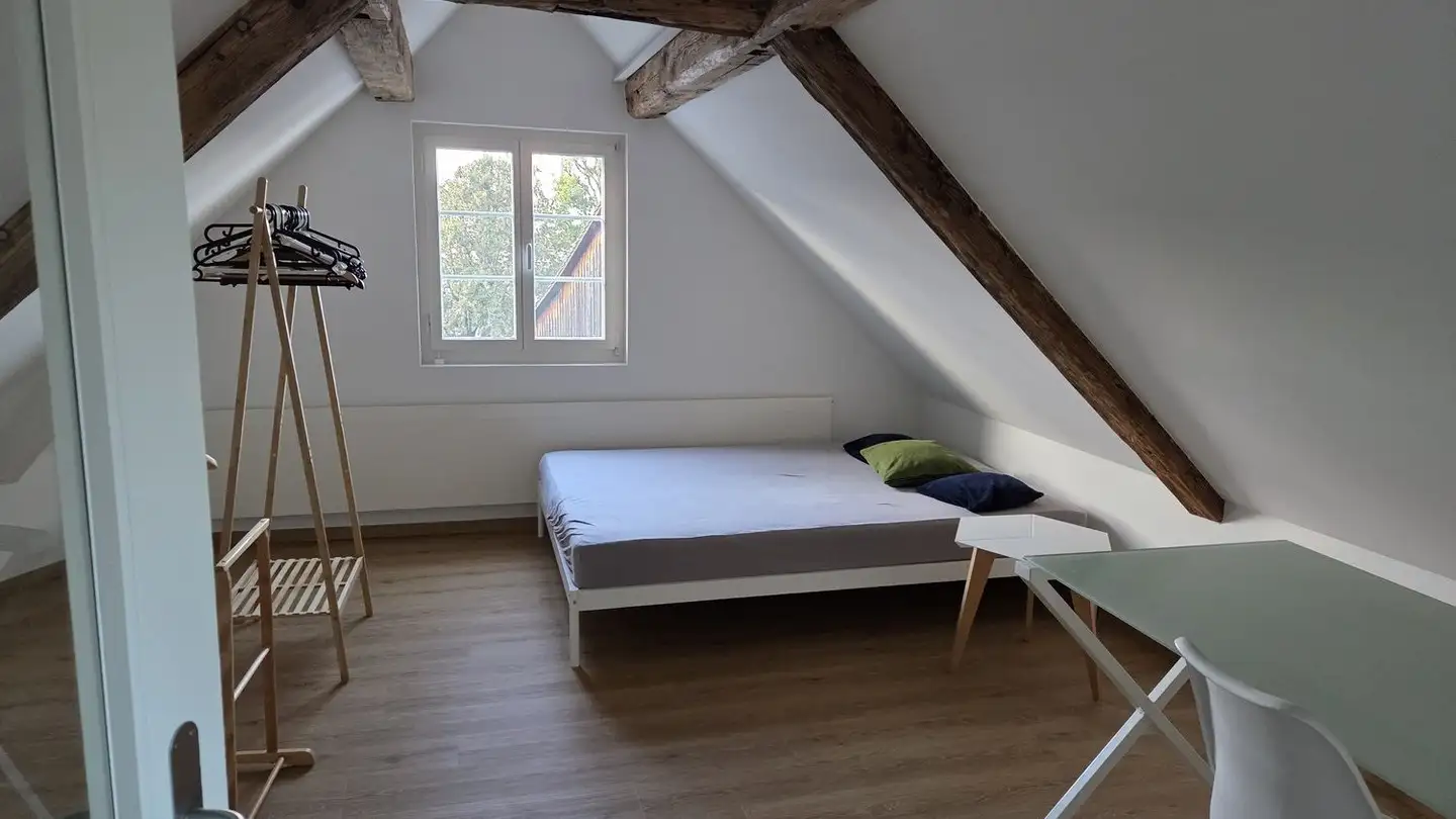 Appartamento in affitto - 8800 Thalwil
