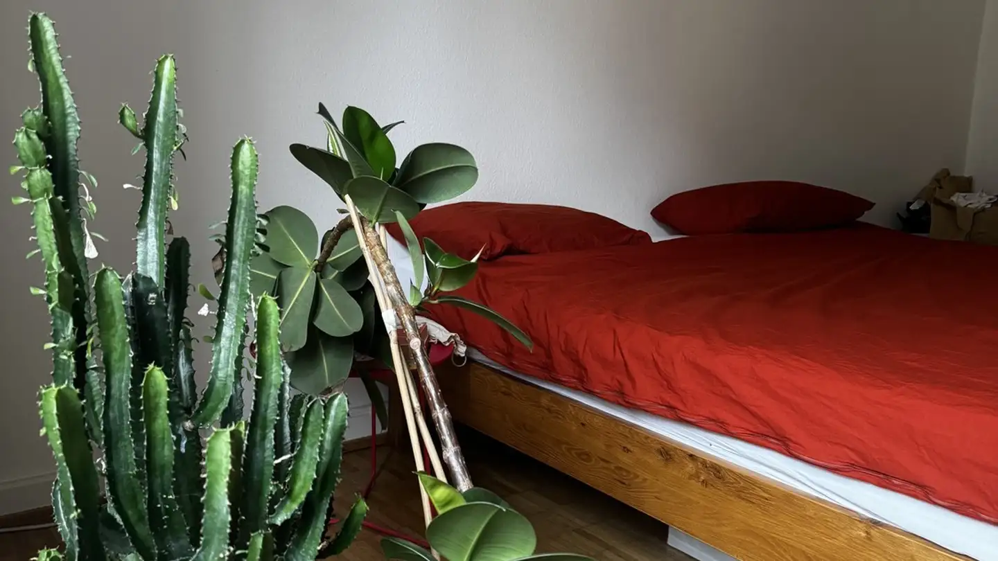 Chambre à louer - Pflanzschulstrasse, 8004 Zürich