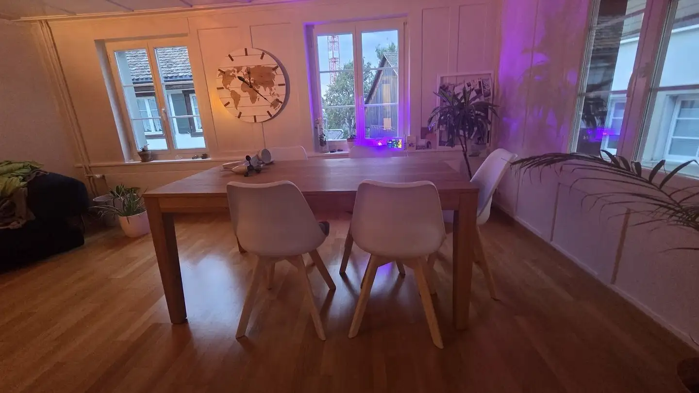 Appartamento in affitto - 8800 Thalwil - Foto 4