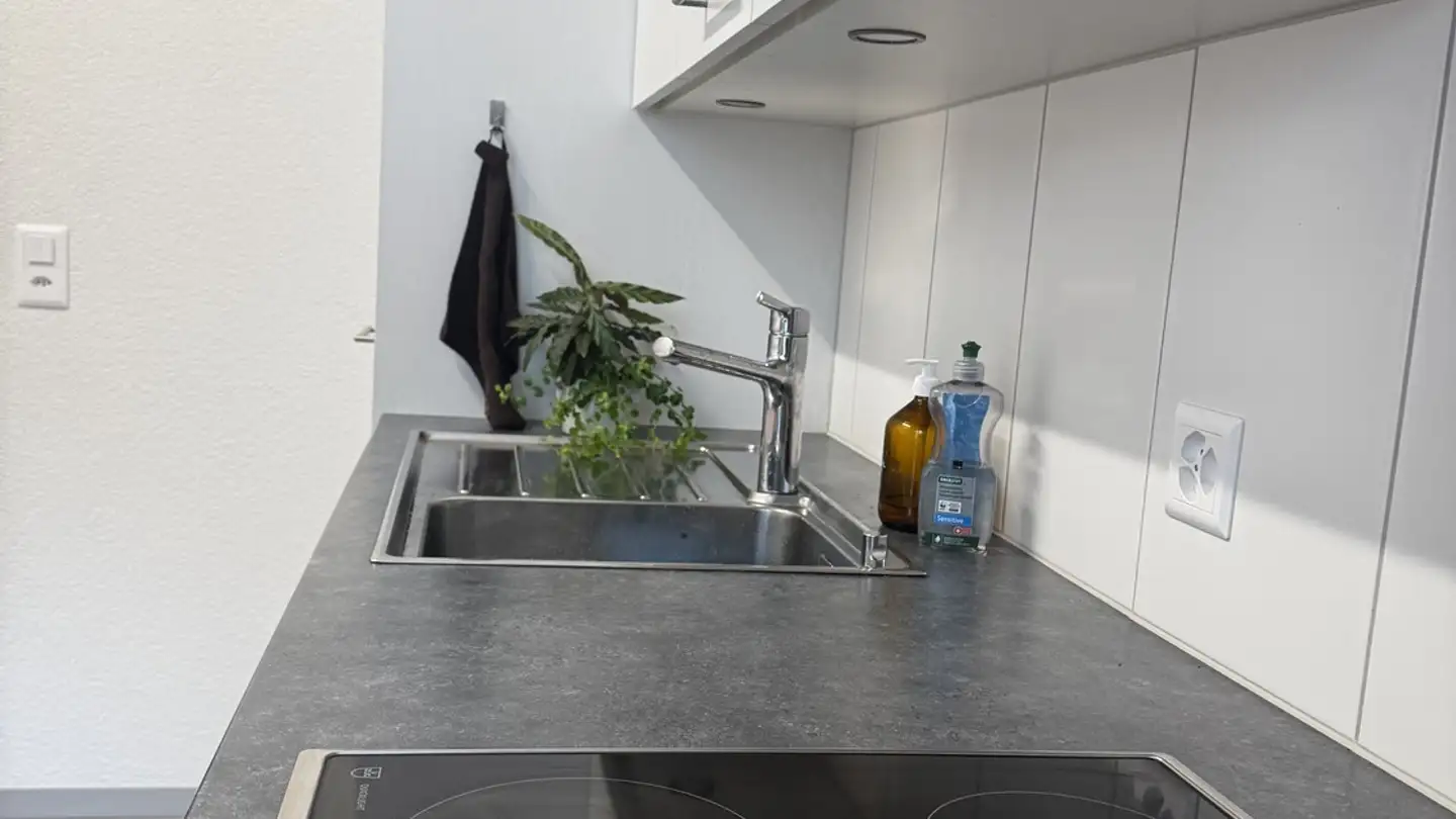 Stanza singola in affitto - Pflanzschulstrasse, 8004 Zürich - Foto 4