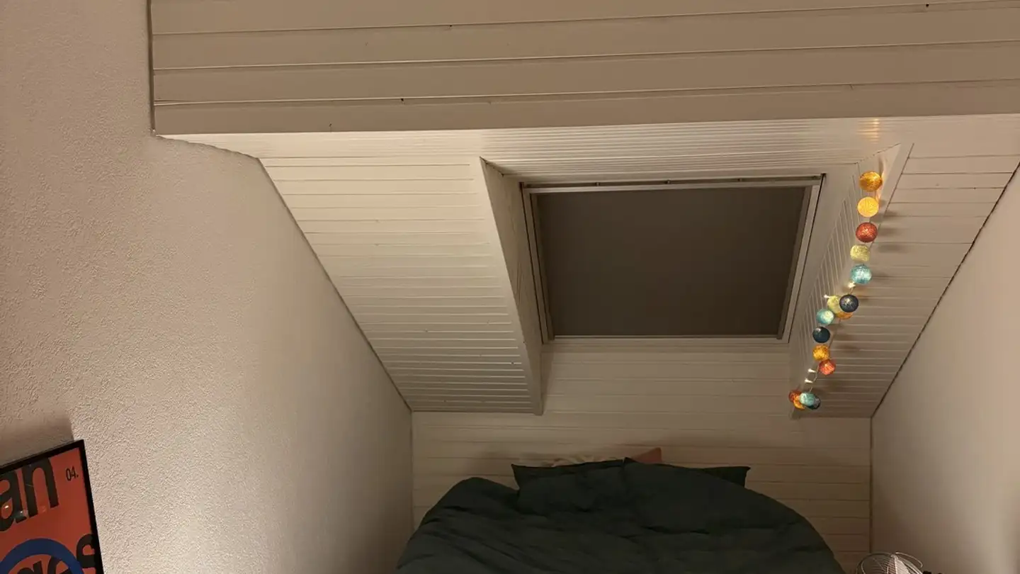 Chambre à louer - Badenerstrasse 338, 8004 Zürich