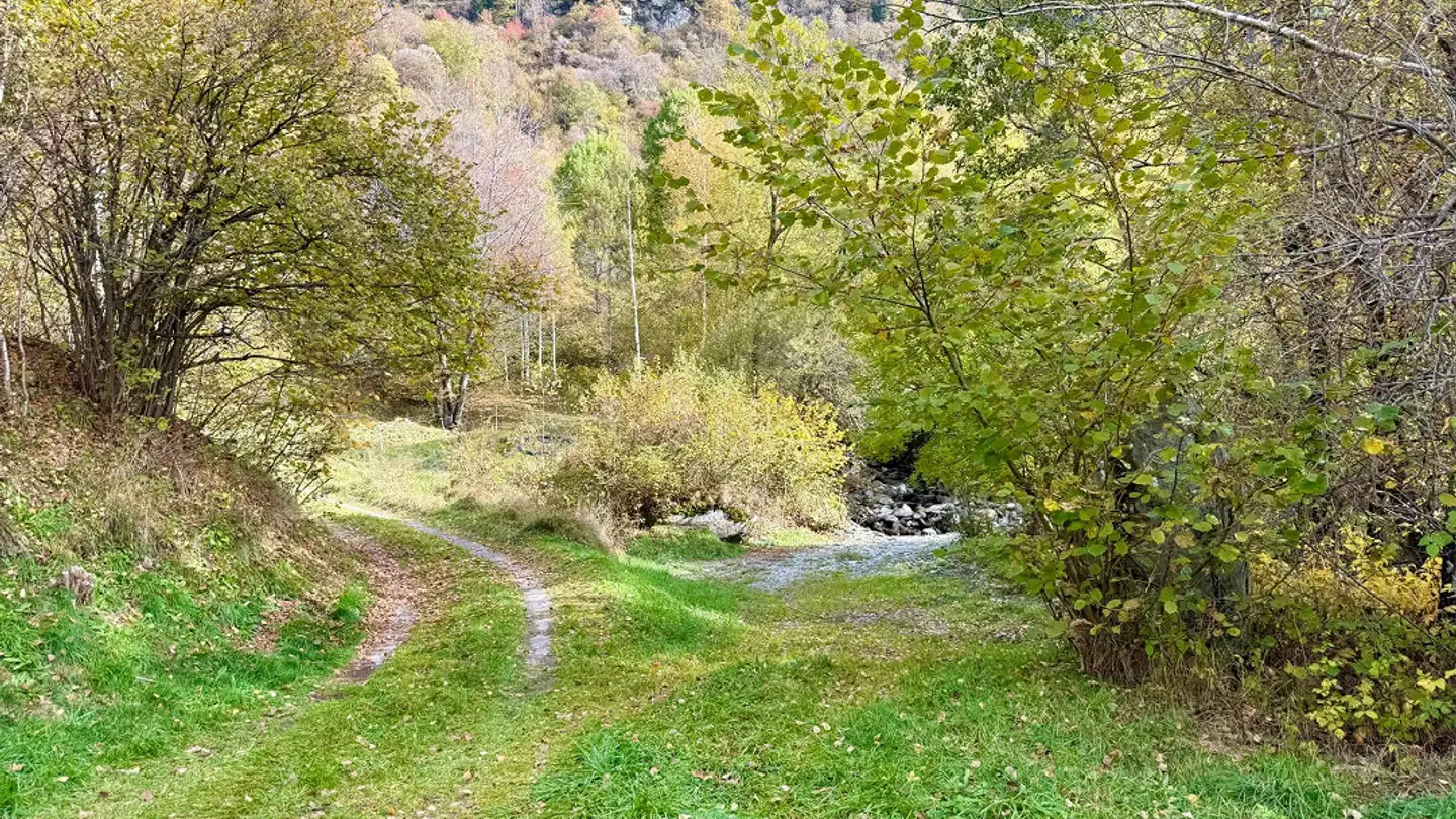 Einfamilienhaus kaufen - Strada De La Mezzénen 40, 6563 Mesocco - Foto 2