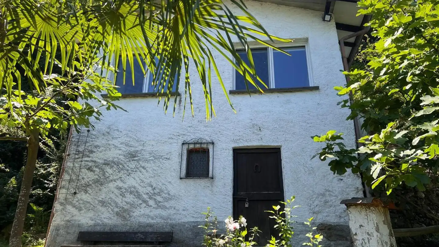 Haus kaufen - 6573 Magadino