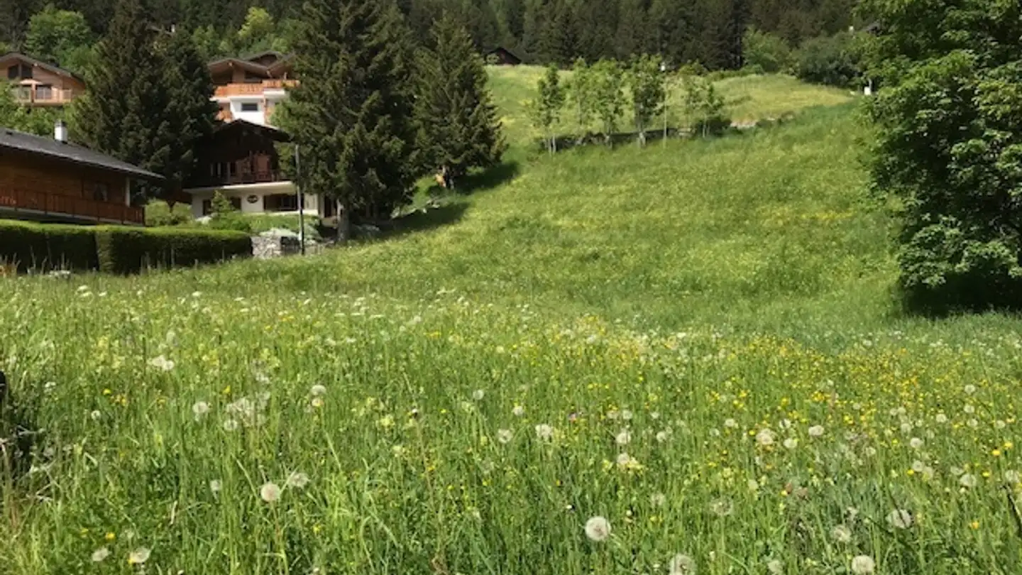 Bauland kaufen - 1911 Ovronnaz