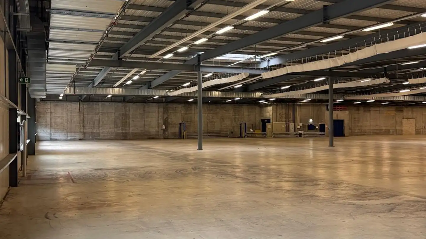 Commercial à louer - Industriestrasse 11, 4623 Neuendorf - Photo 3
