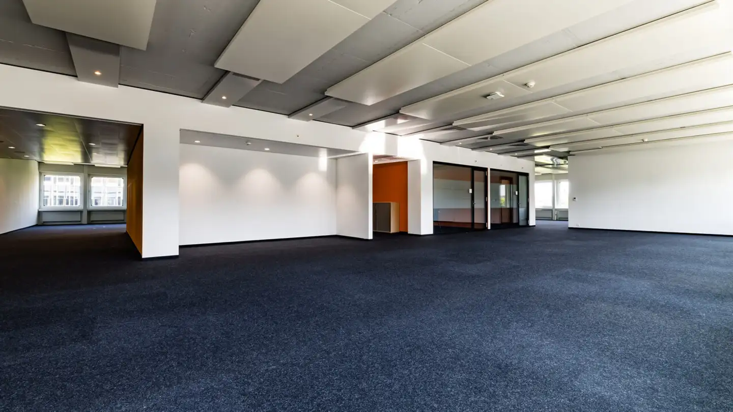 Bürofläche mieten - Freilagerstrasse 40, 8047 Zürich - Foto 3