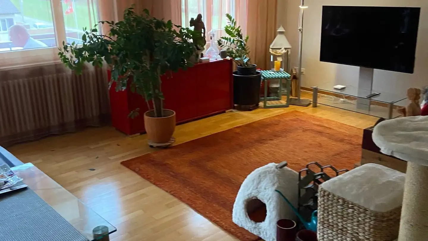 Apartment for rent - 8903 Birmensdorf ZH - Photo 3