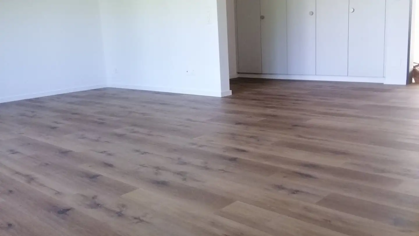 Appartement à louer - Bischofszellerstrasse 297, 9212 Arnegg