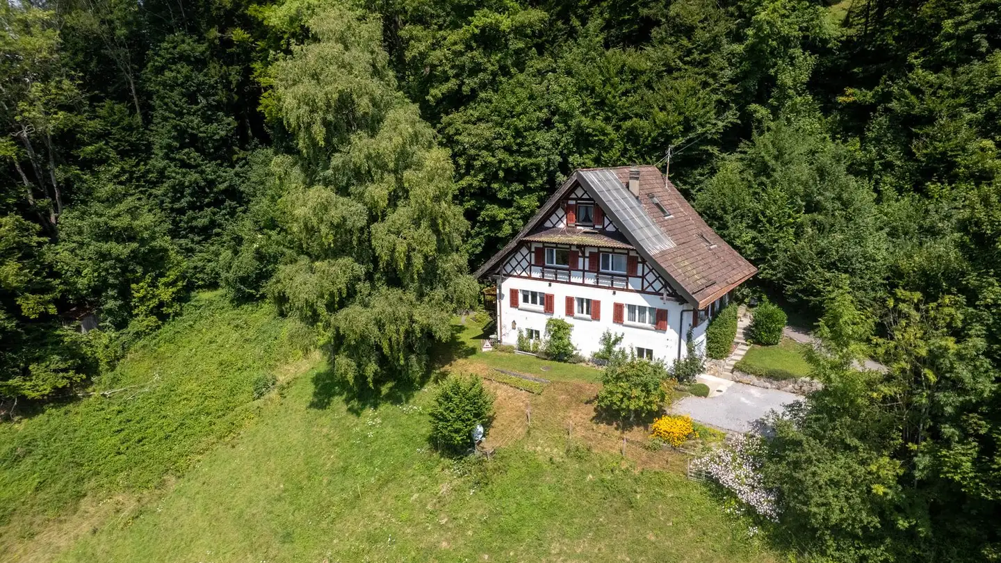 Single house for sale - Alte Bucheneggstrasse, 8143 Stallikon