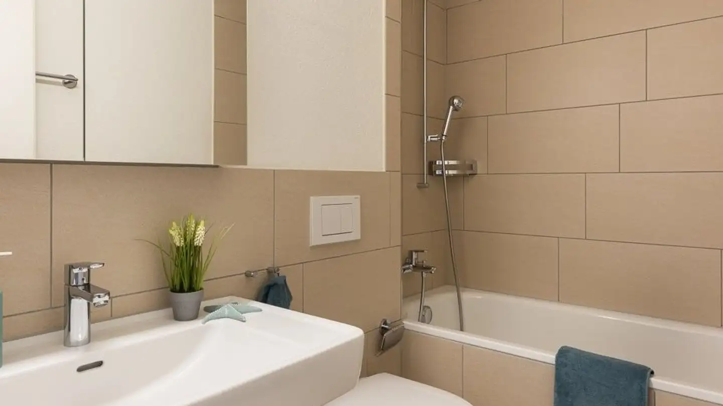 Appartamento in affitto - Birchstrasse 23, 8212 Neuhausen am Rheinfall - Foto 4