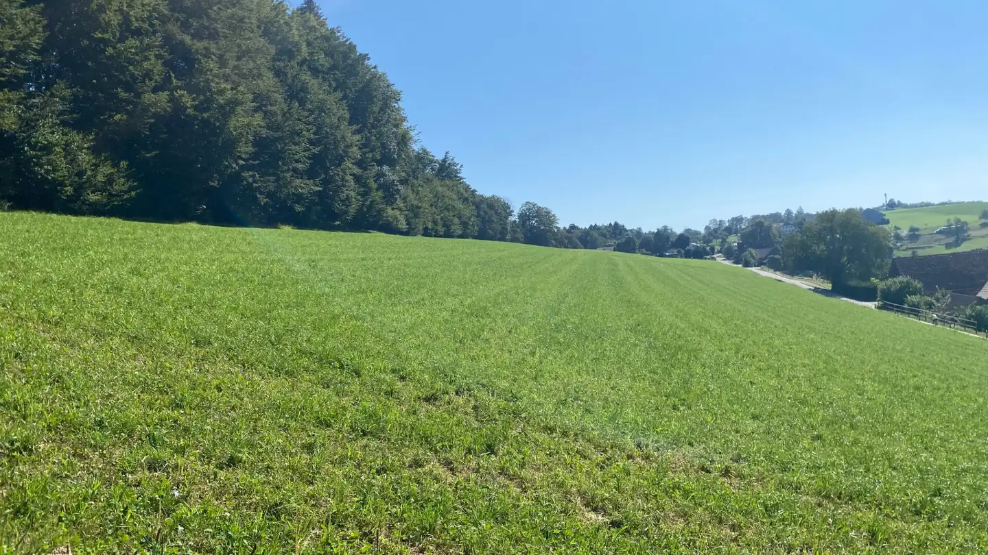 Casa singola in vendita - Buchacker, 5058 Wiliberg - Photo 3