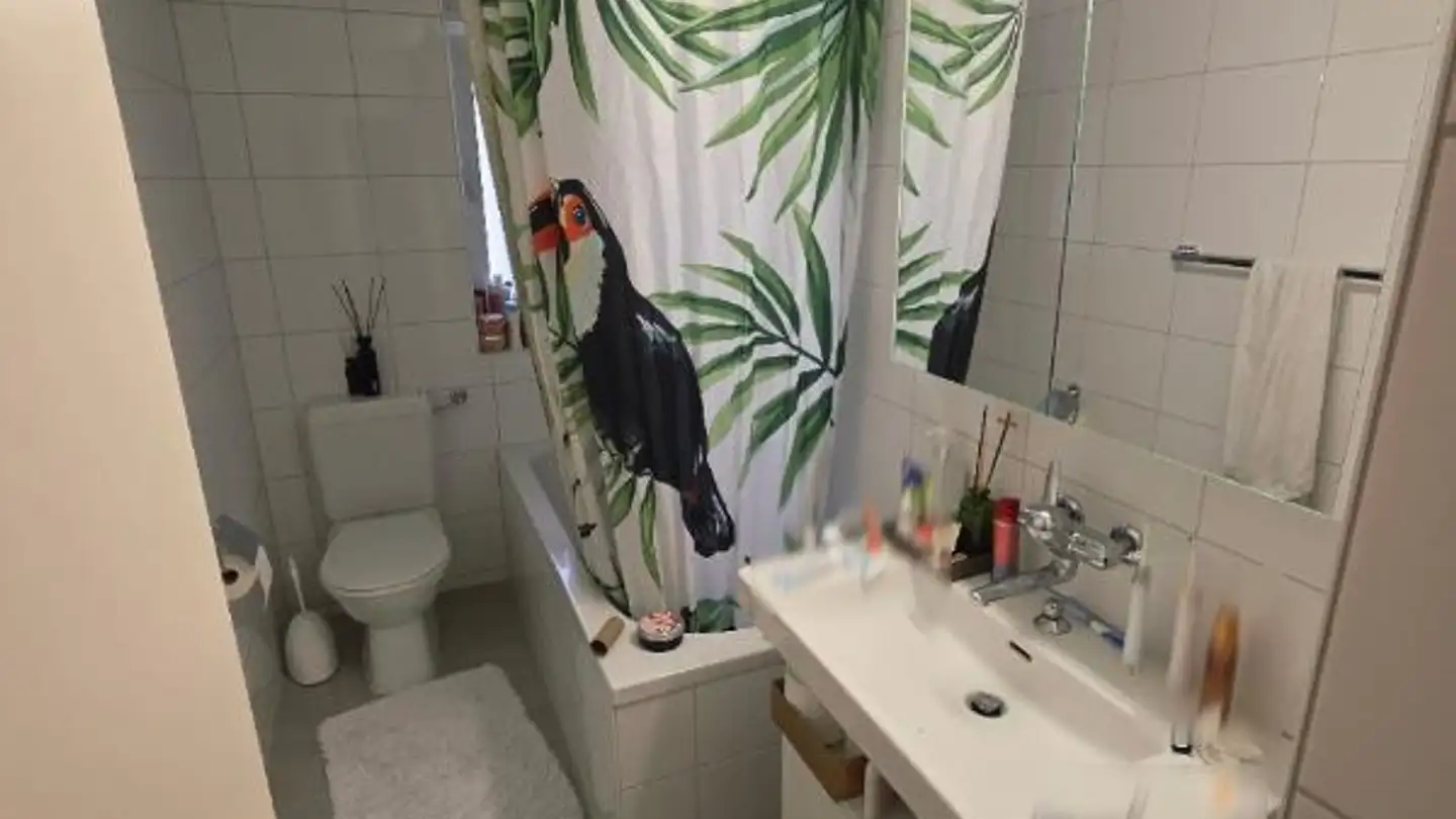 Appartamento in affitto - Adlerfeldstrasse 3, 4402 Frenkendorf - Photo 4