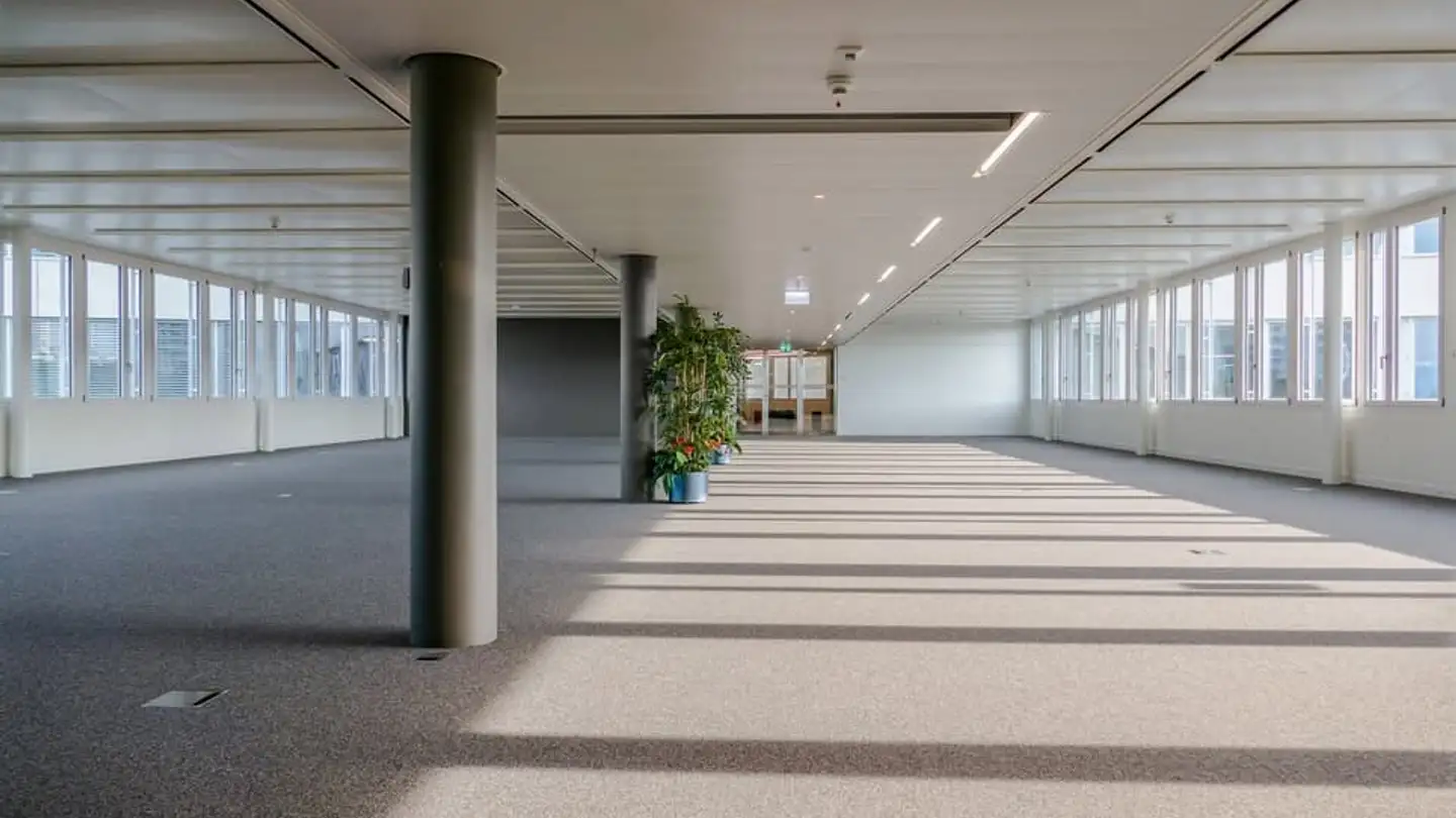 Commerciale in affitto - Avenue De Valmont 41, 1010 Lausanne - Photo 4