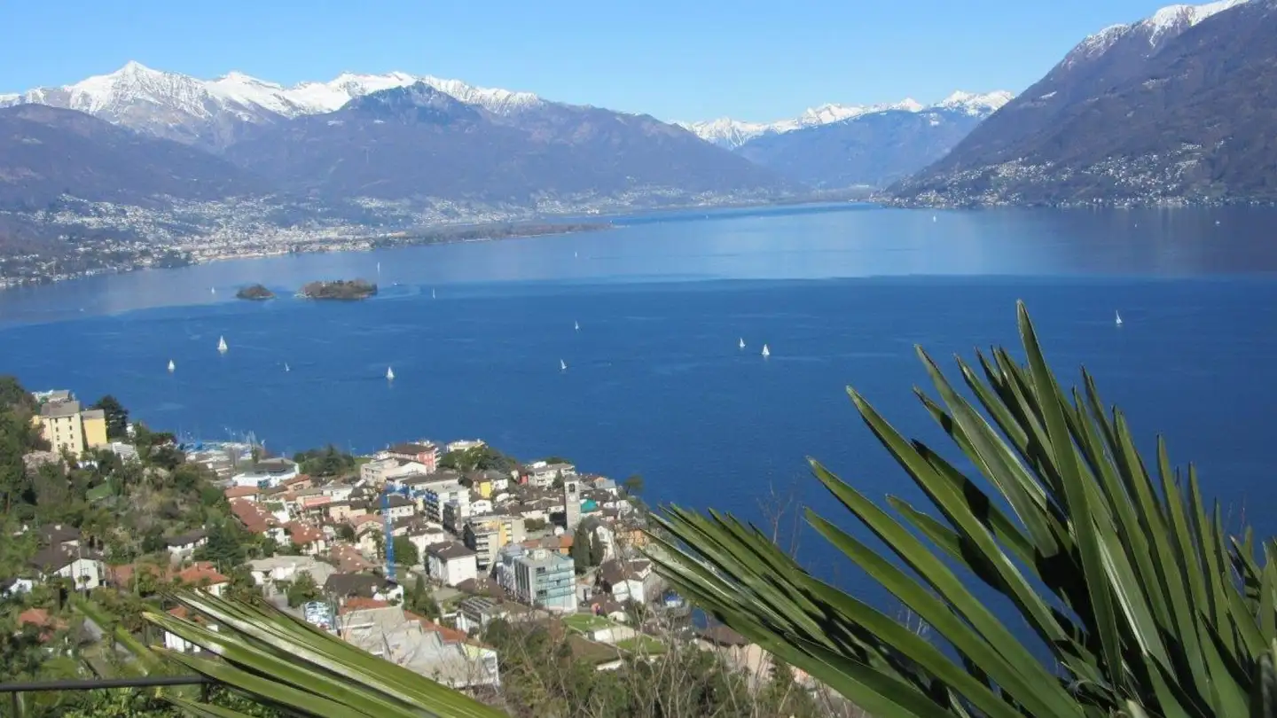 Terreno edificabile in vendita - Via Costa Di Mezzo, 6614 Brissago - Photo 3