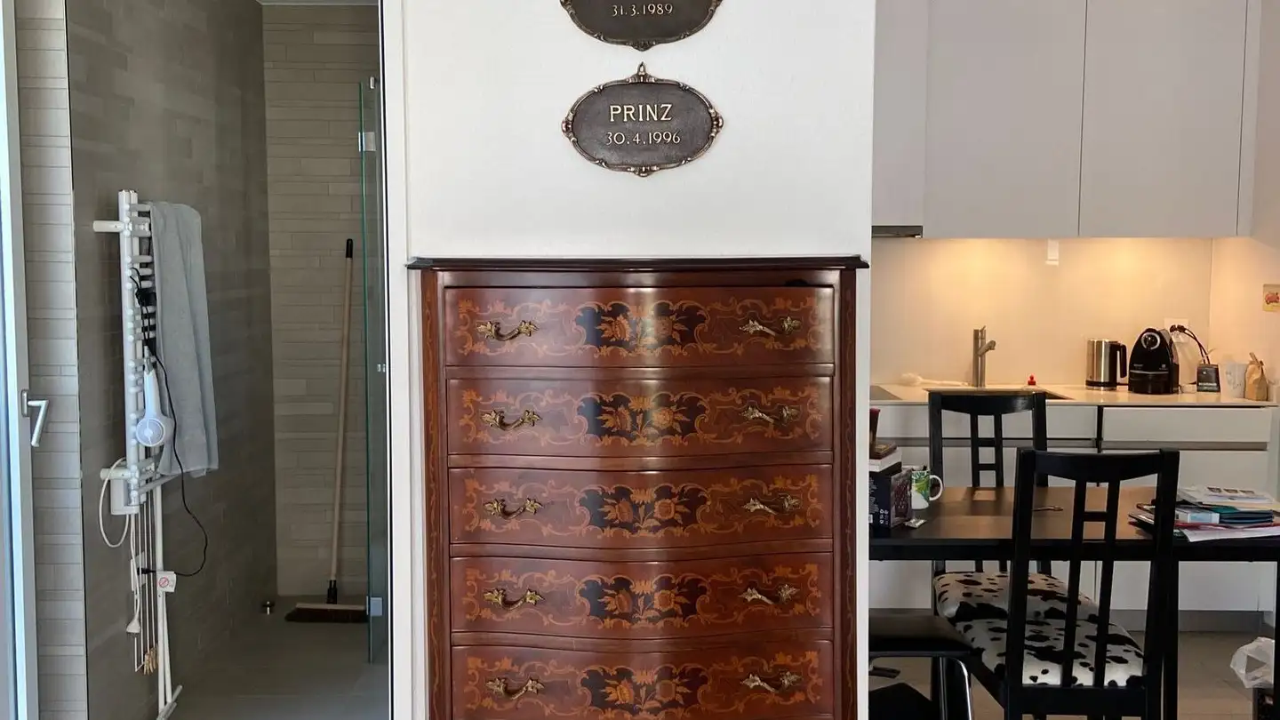 Appartamento in affitto - Gustav-Siber-Weg, 8700 Küsnacht ZH - Foto 4