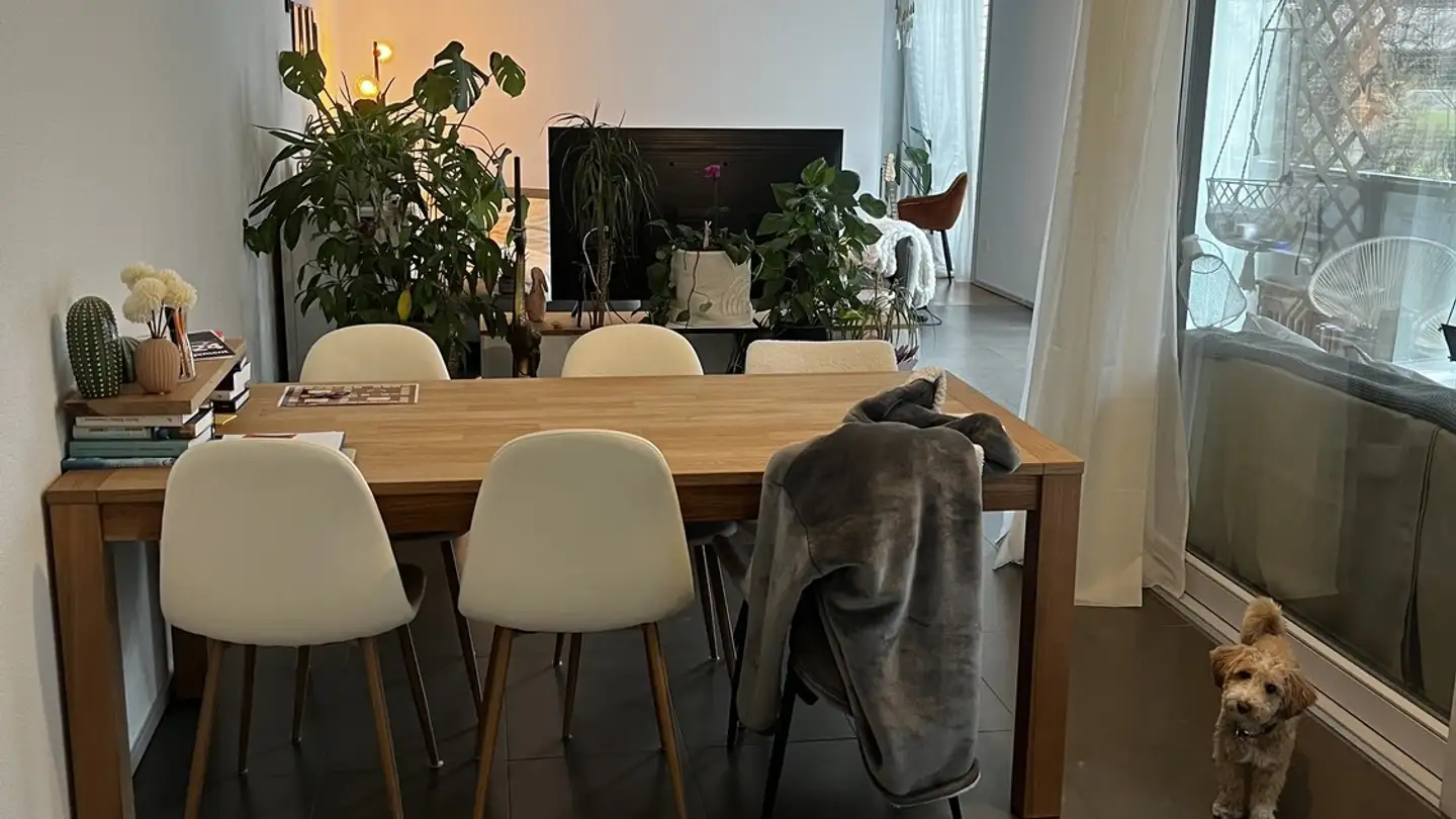 Appartamento in affitto - St. Gallerstrasse 48, 8400 Winterthur - Foto 2