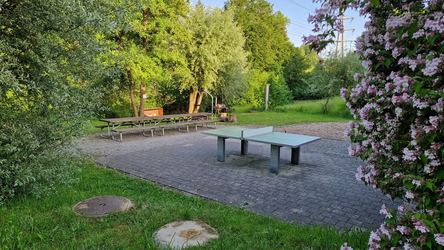 Duplex for sale - Hofstrasse 5a, 9015 St. Gallen - Photo 4