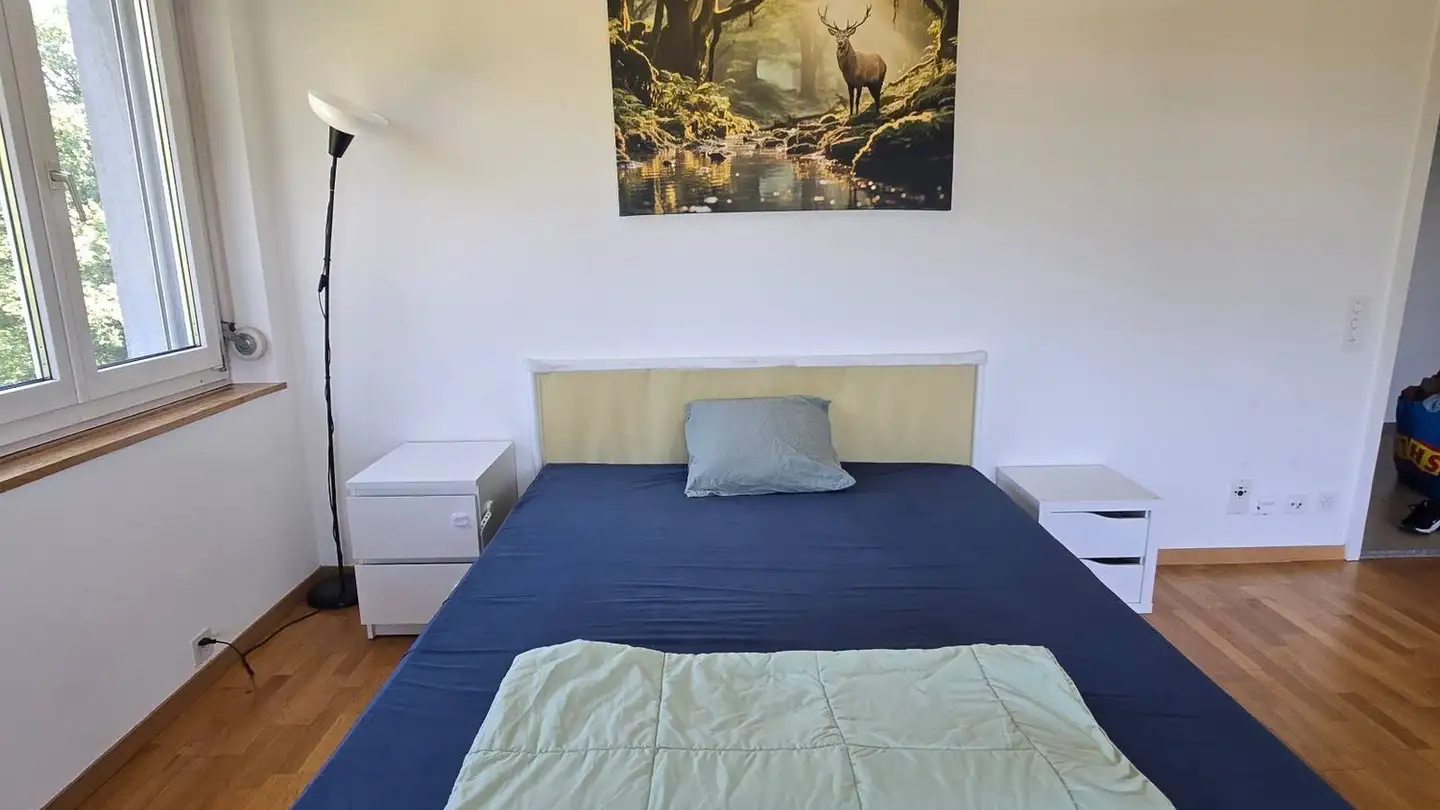 Stanza singola in affitto - Buchholzstrasse 115, 8053 Zürich