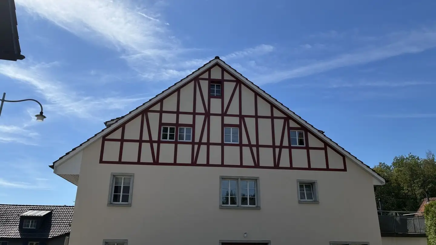 Single room for rent - Risistrasse 25a, 8903 Birmensdorf ZH - Photo 3
