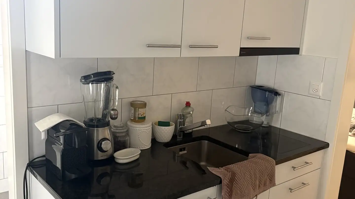 Appartamento in affitto - 8112 Otelfingen