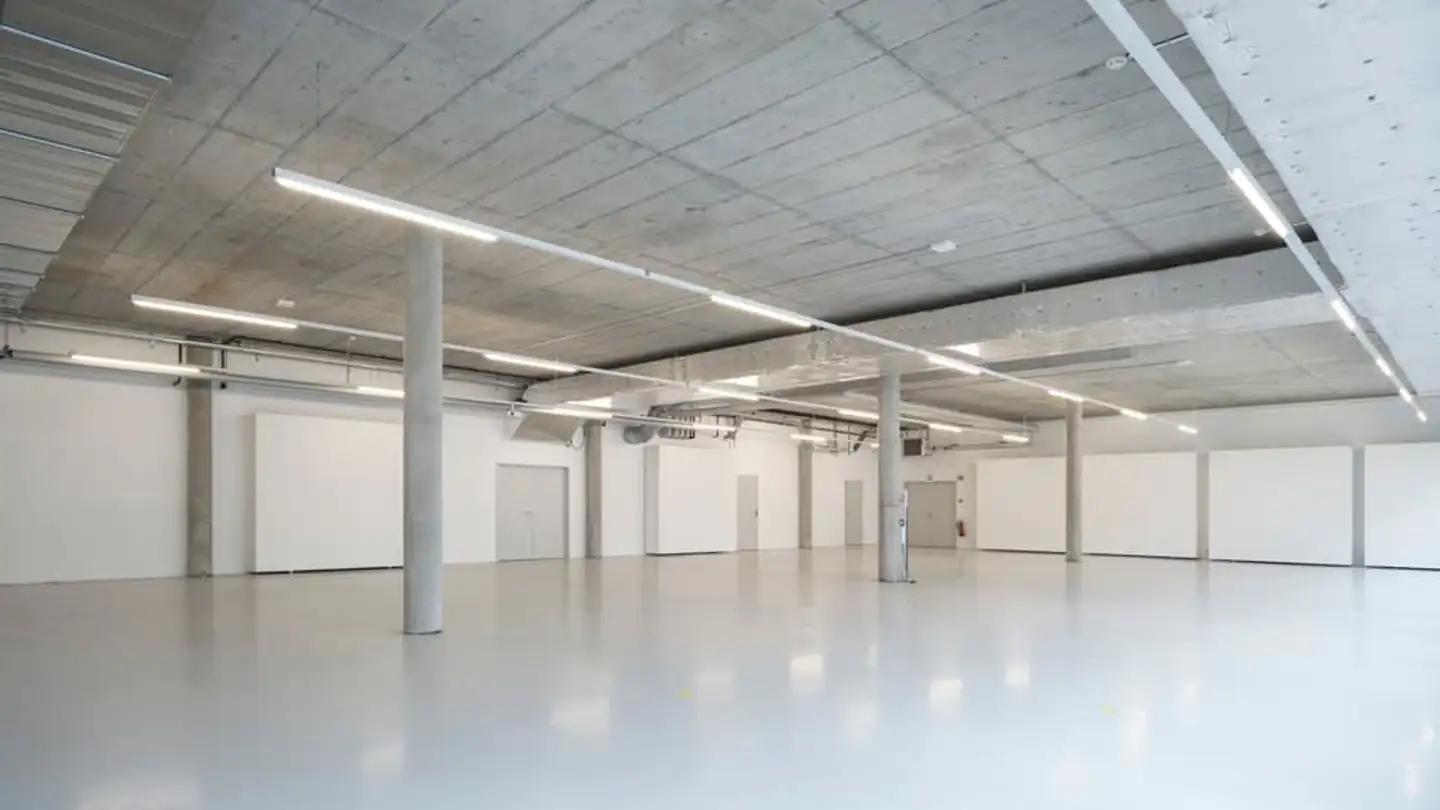 Commercial à louer - Chemin Du Champ-Des-Filles, 1228 Plan-les-Ouates