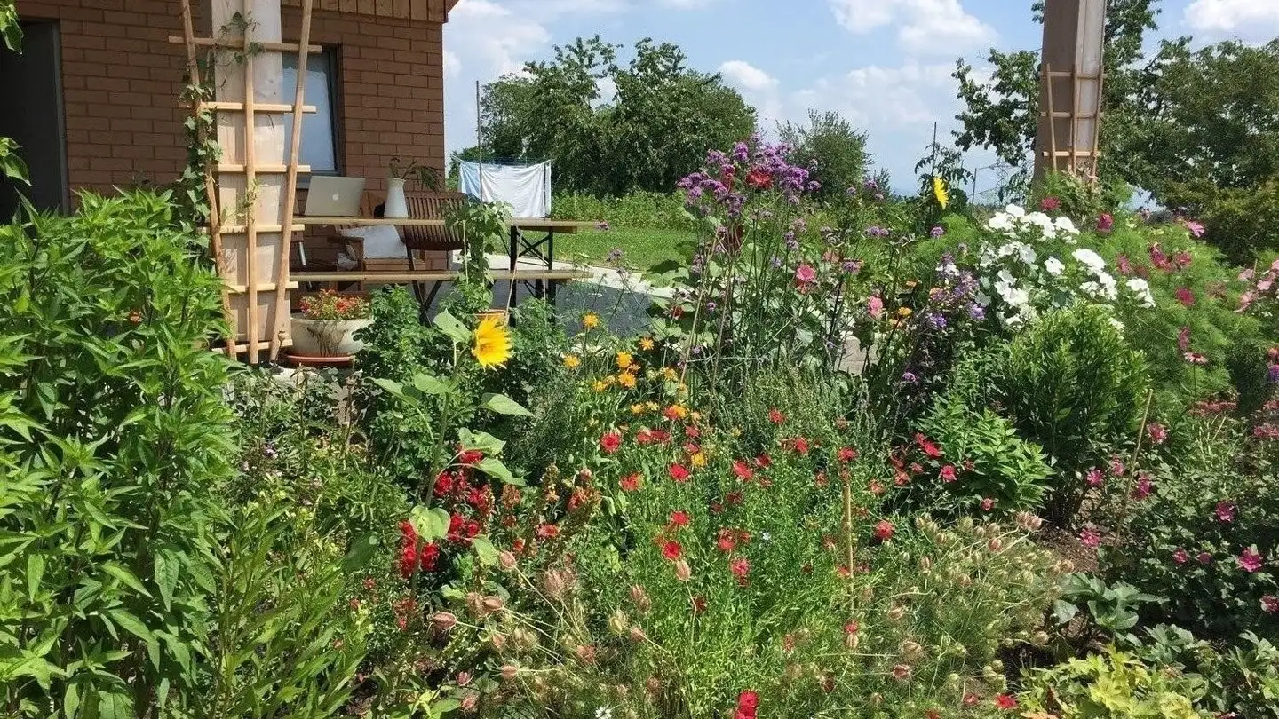 Single room for rent - 8118 Pfaffhausen - Photo 2