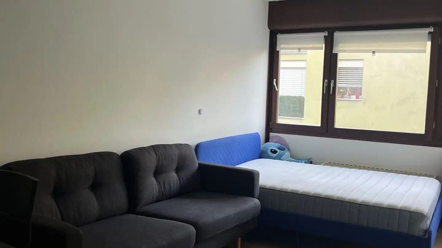 Wohnung mieten - Chemin Louis-Boissonnet 88, 1010 Lausanne - Foto 3