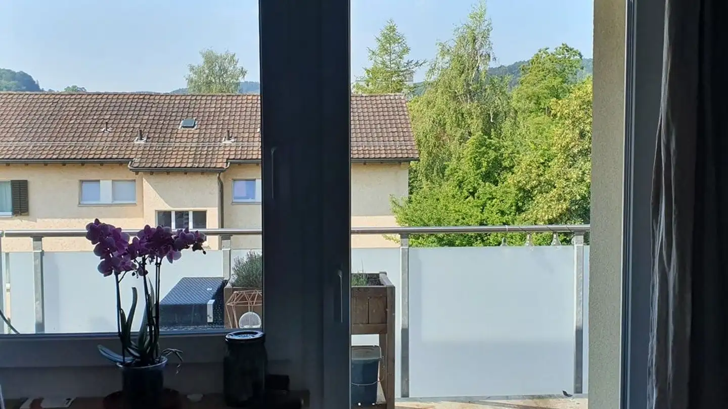 Appartamento in affitto - Langwiesenstrasse 18, 8408 Winterthur - Foto 4