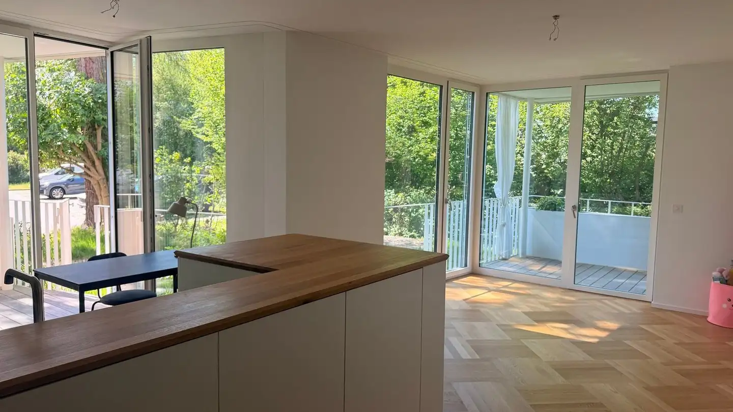 Appartamento in affitto - Witikonerstrasse, 8053 Zürich