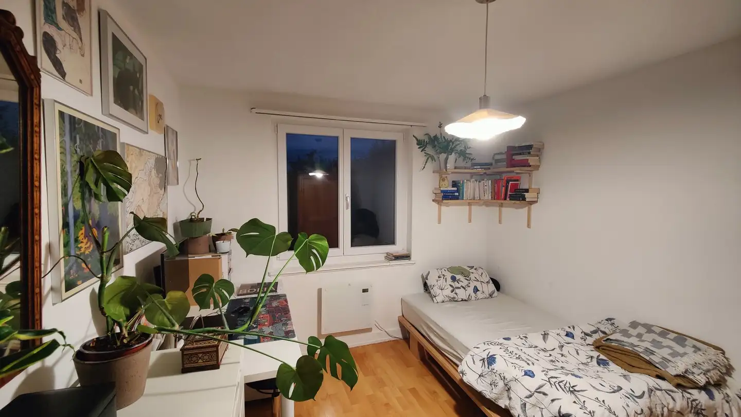 Stanza singola in affitto - 8049 Zürich