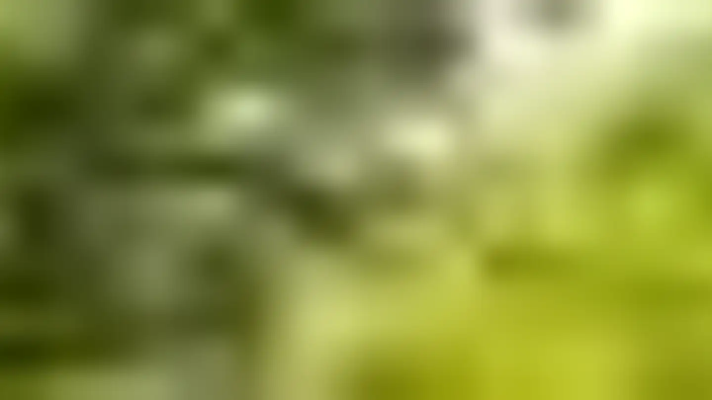 Duplex in affitto - Dörflistrasse 8, 8942 Oberrieden - Photo 4