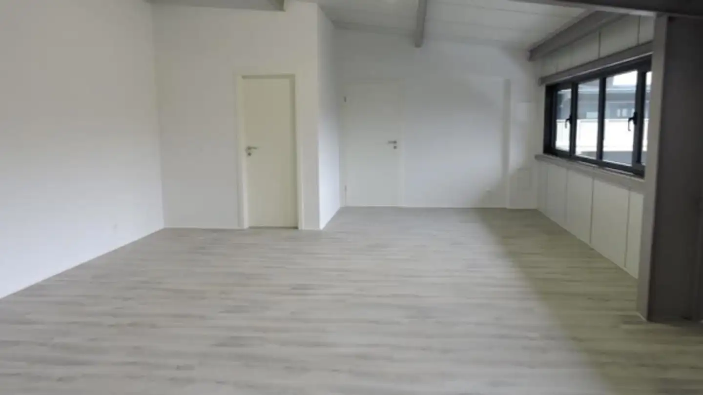 Commercial for rent - 1897 Bouveret - Photo 3