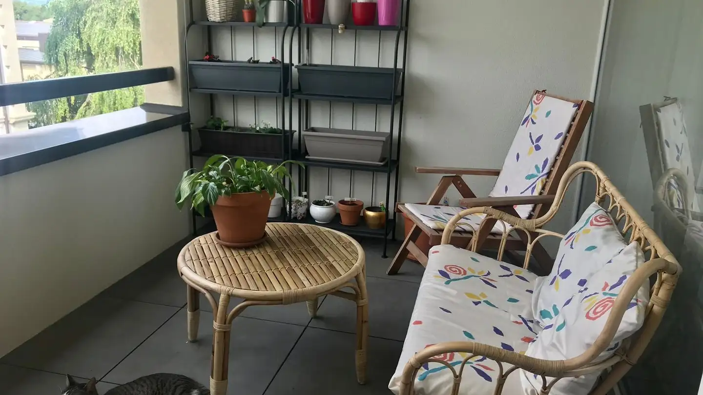 Appartement à louer - Place De La Gare 8a, 1580 Avenches - Photo 2