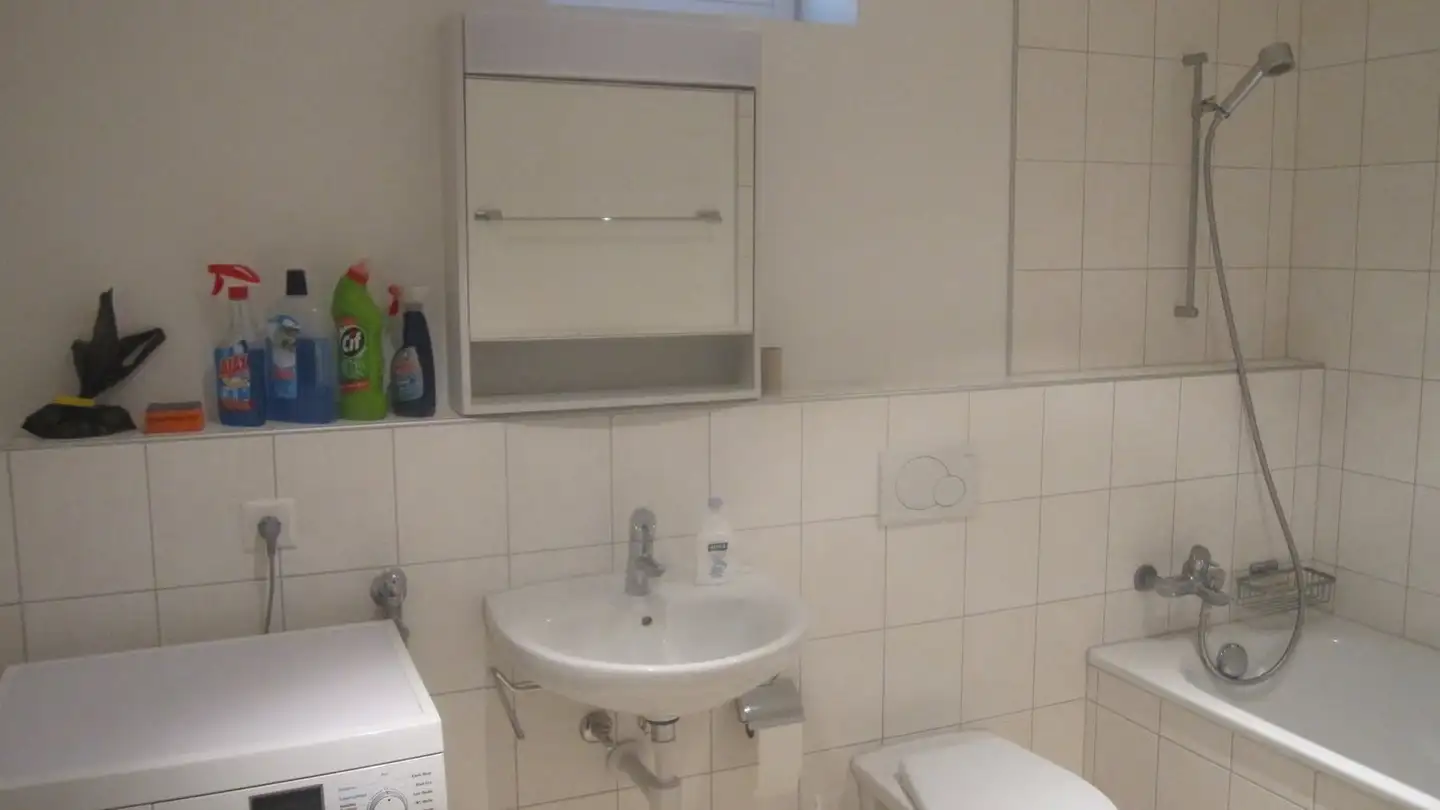 Apartment for rent - Buckstrasse 3, 8820 Wädenswil - Photo 3