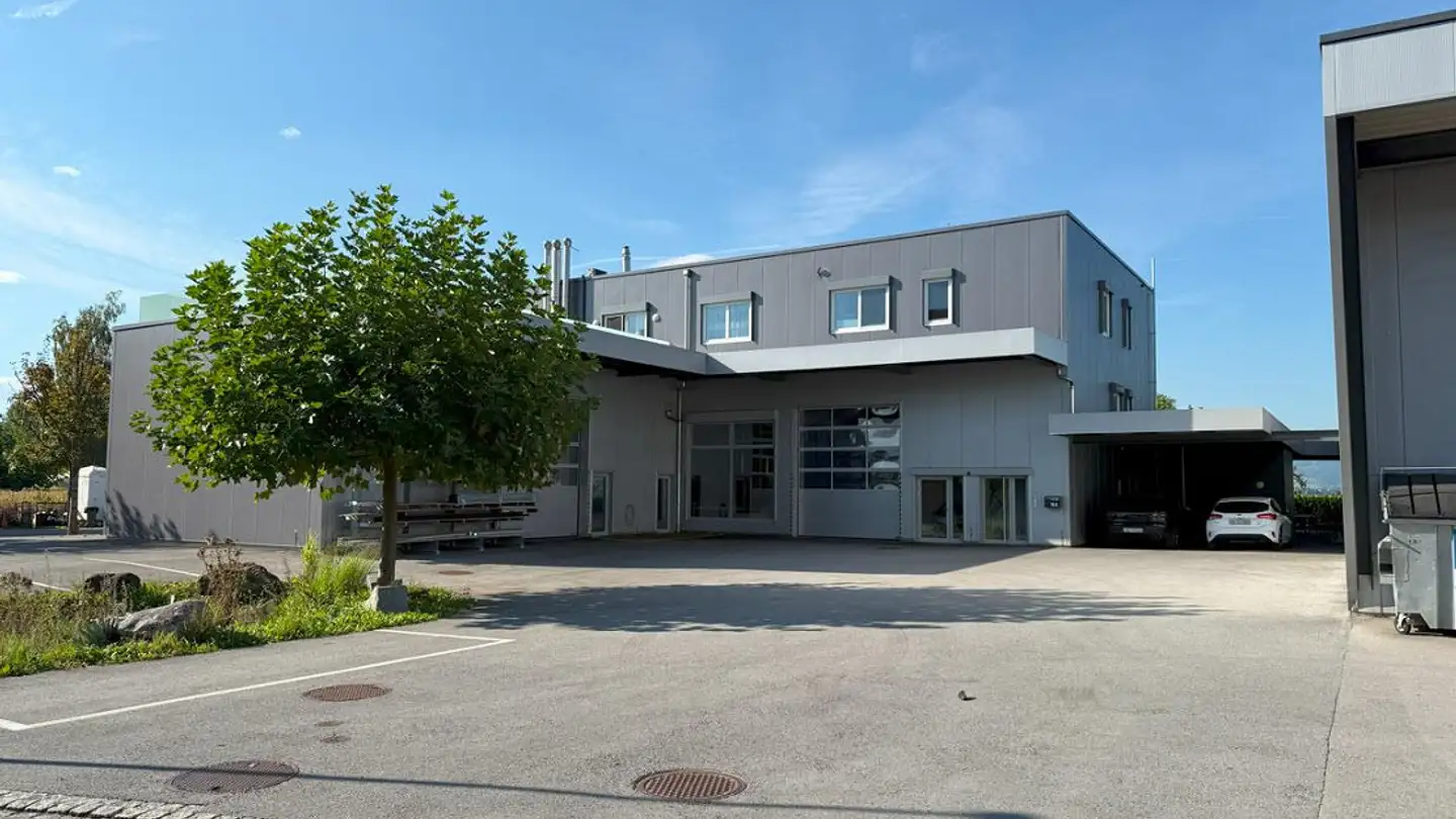 Proprietà industriale in affitto - Wegenstrasse 16a, 9436 Balgach