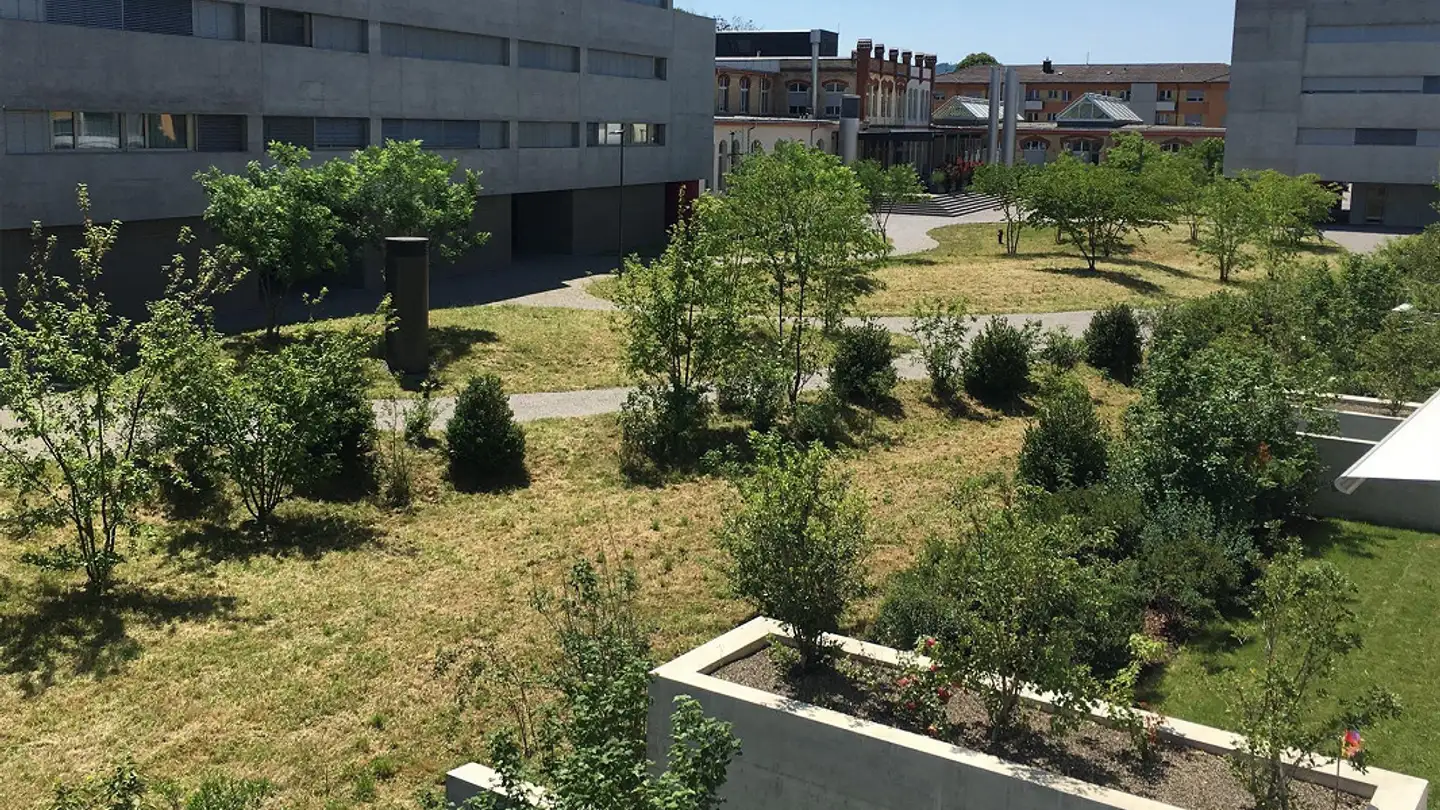 Wohnung mieten - Hirschenstrasse 14b, 9200 Gossau SG