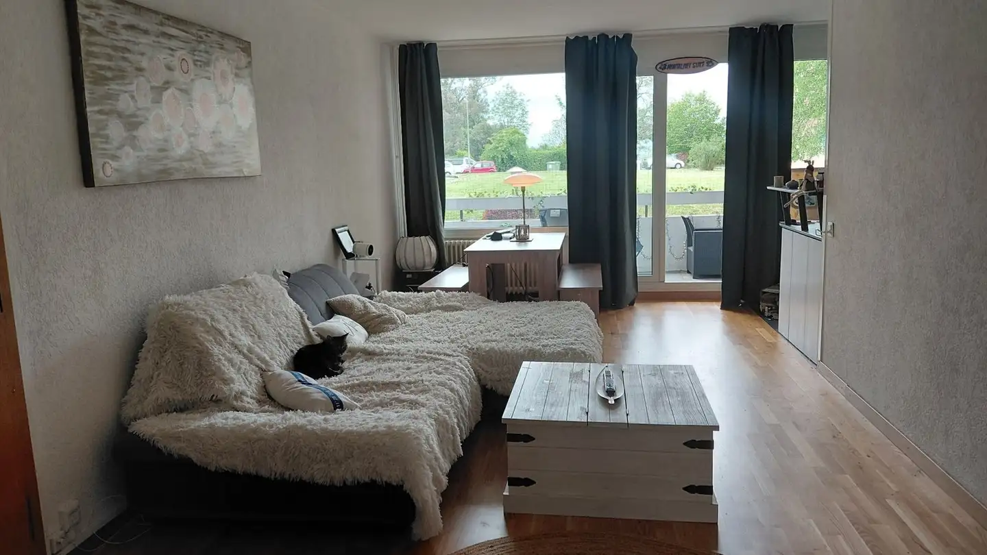 Appartamento in affitto - 1237 Avully - Foto 4