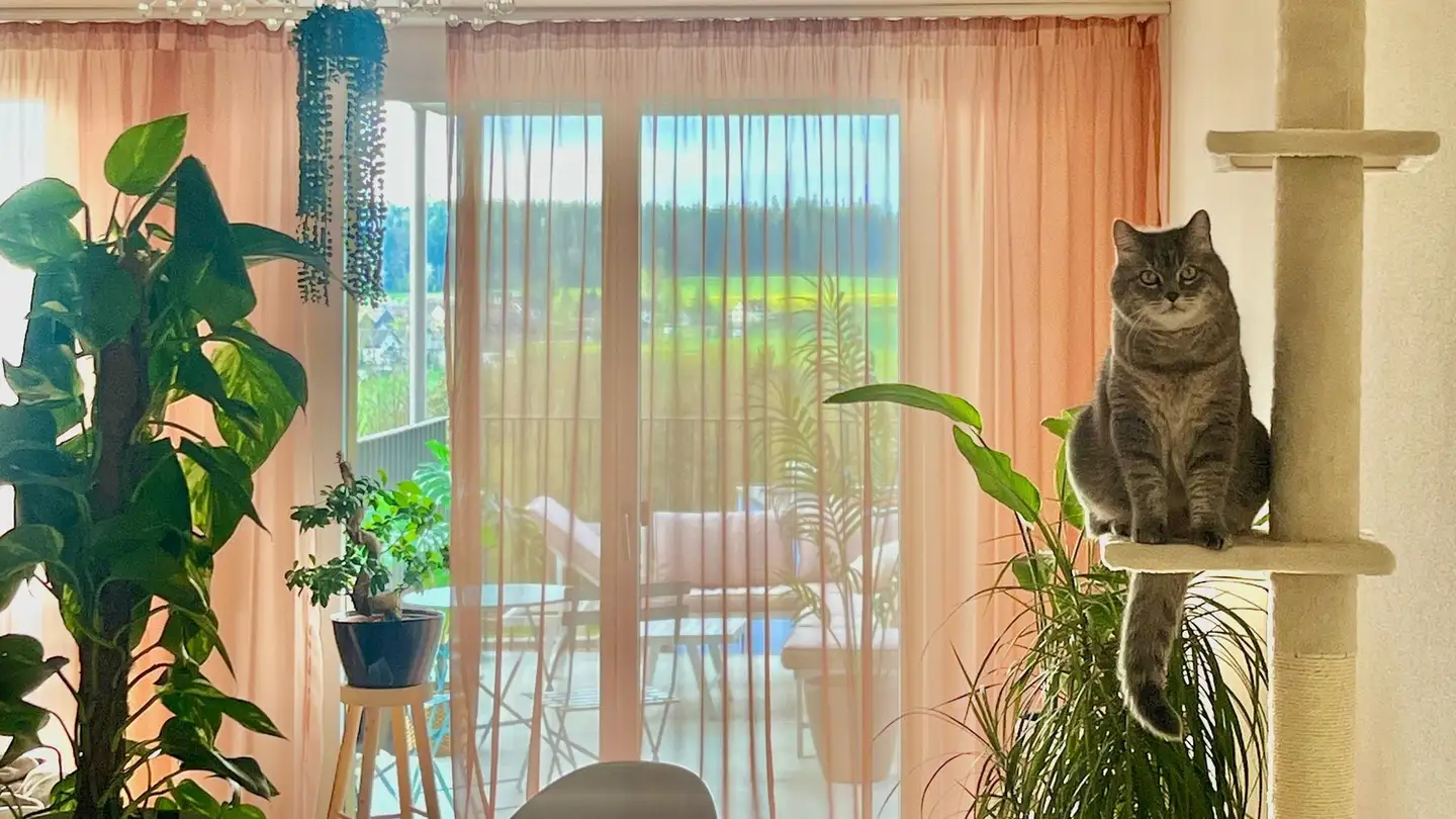 Stanza singola in affitto - 8126 Zumikon - Foto 2