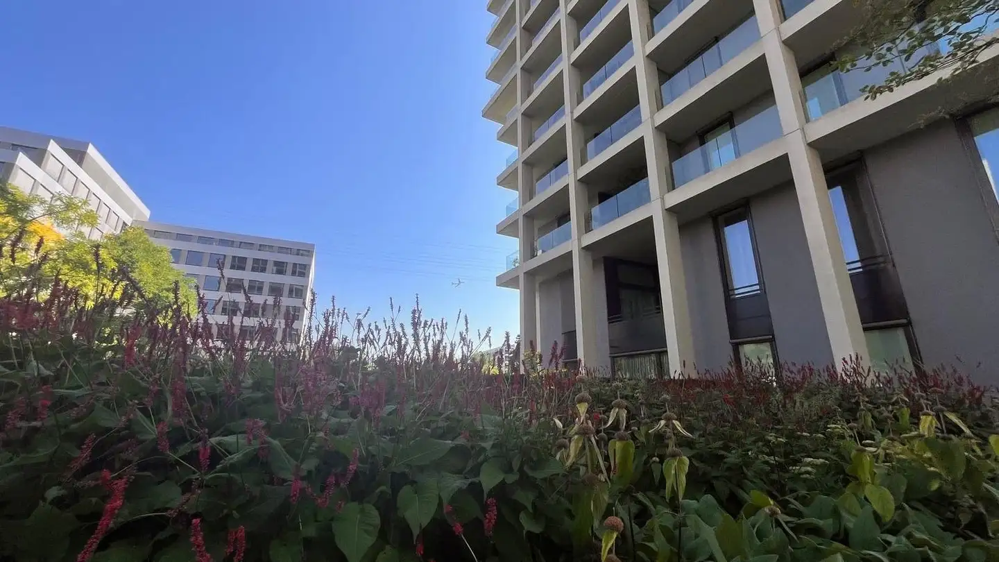 Appartement à louer - Schärenmoosstrasse 78, 8052 Zürich