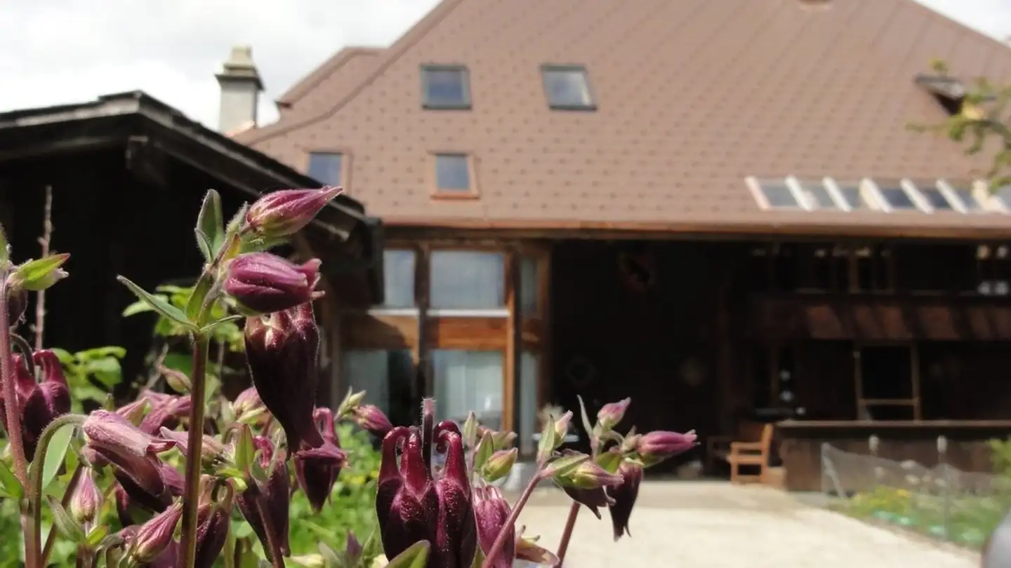 Appartamento in affitto - Oberdorf 40, 3116 Noflen BE - Foto 2