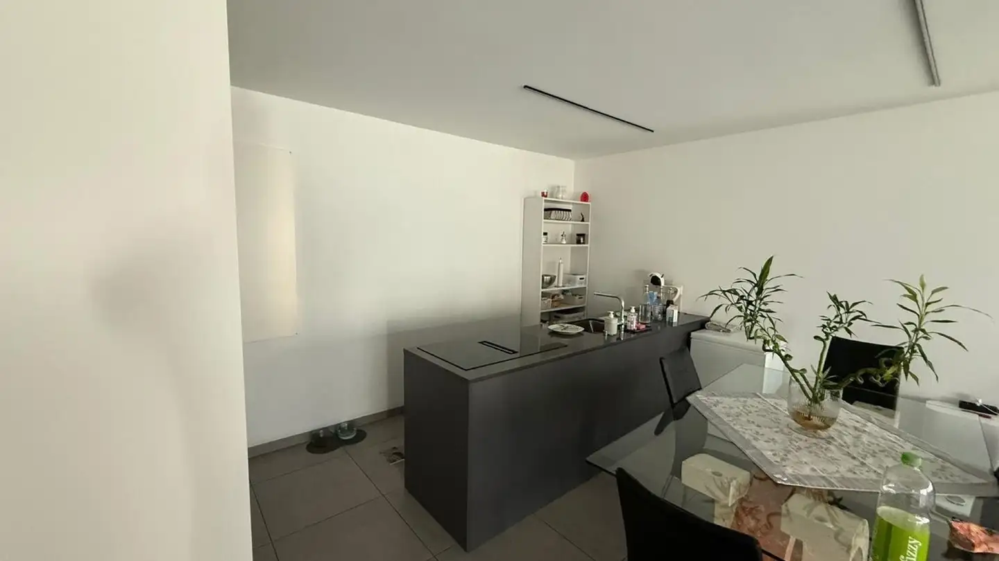 Single house for rent - Via Tommaso Rodari, 6500 Bellinzona - Photo 4