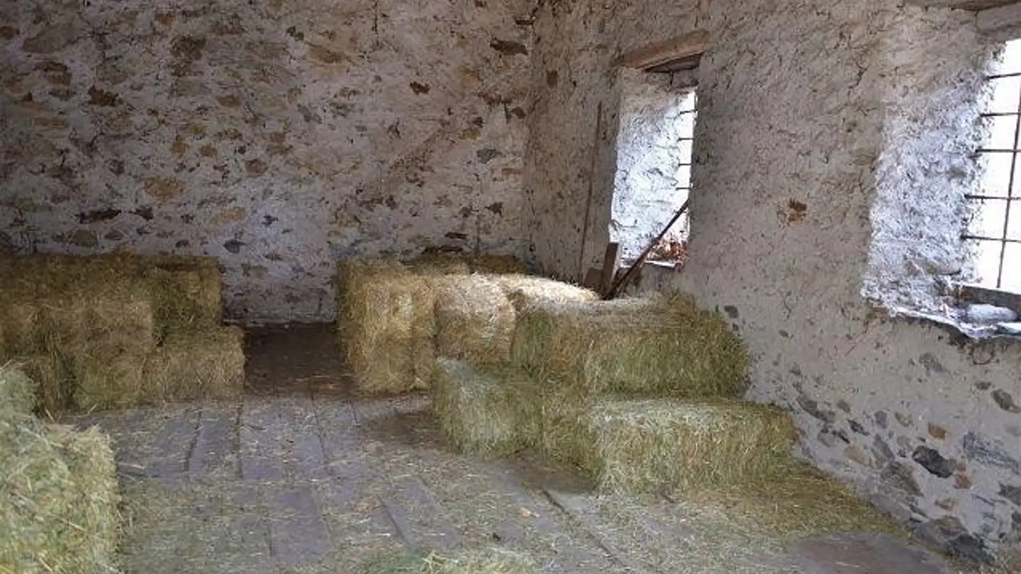 House for sale - 6713 Malvaglia - Photo 4