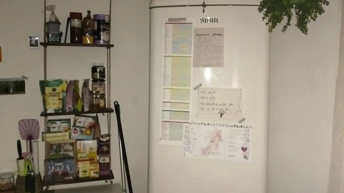 Stepped apartment for rent - Oberfeldstrasse 102, 8408 Winterthur