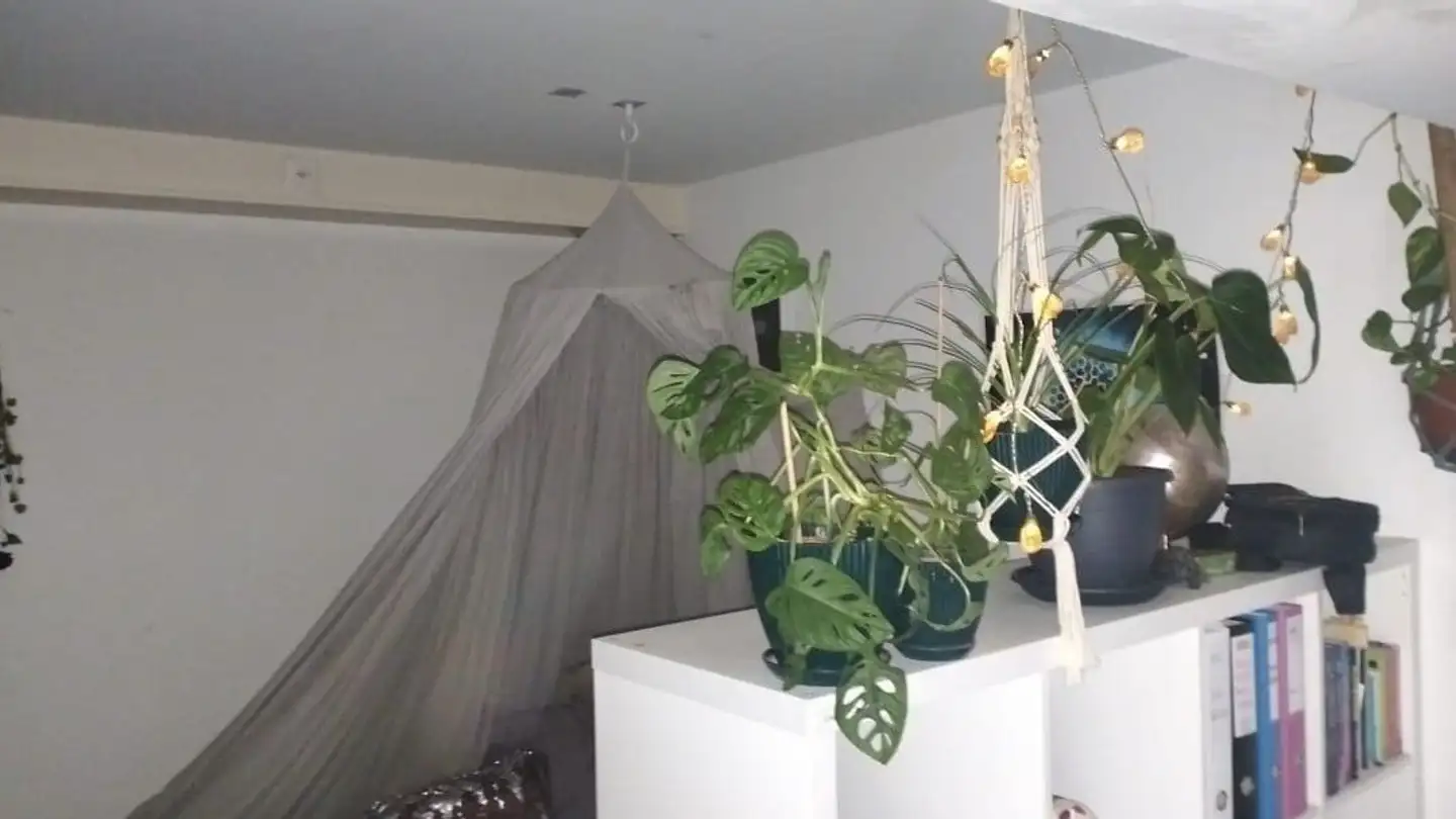 Appartamento a gradini in affitto - Oberfeldstrasse 102, 8408 Winterthur - Photo 3