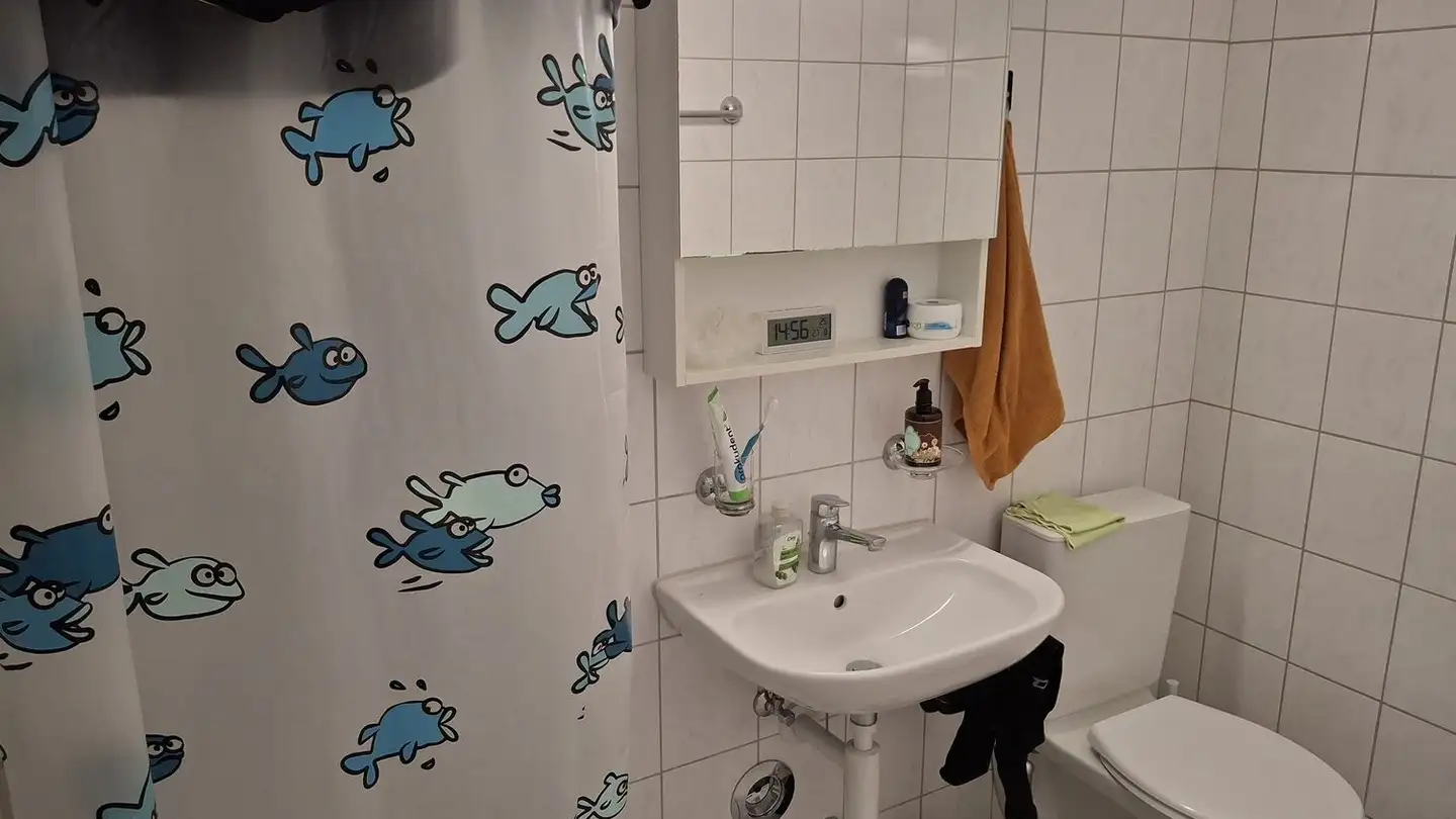 Appartamento in affitto - Eichstrasse 36, 8107 Buchs ZH