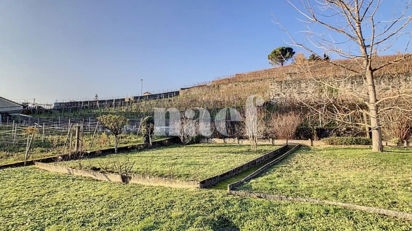 Appartamento in affitto - Route De La Corniche 7, 1096 Cully - Foto 3