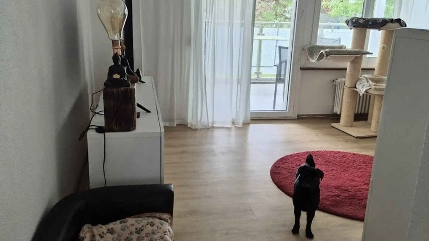 Apartment for rent - Feldegg 19, 3250 Lyss - Photo 2